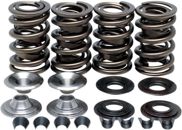 KIBBLEWHITE 20-20060 SPRING KIT .655" TI.RET
