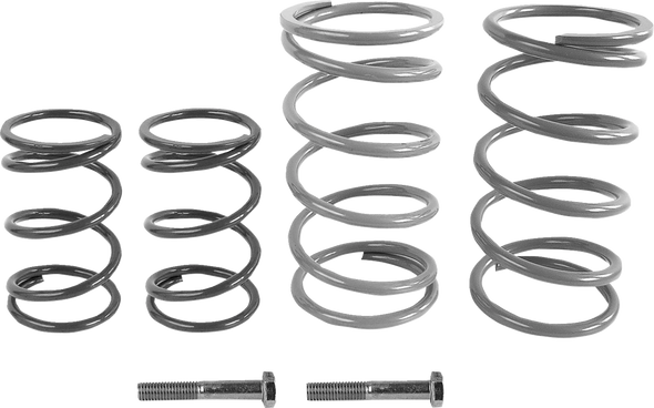 EPI WE437770 Economy Clutch Kit - for Kawasaki