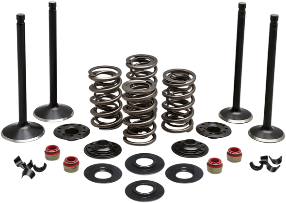 KIBBLEWHITE 20-22750 VALVE KT COMP86-03EVO/883