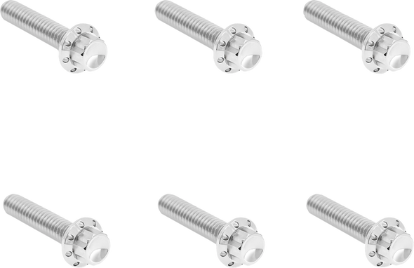 Arlen Ness 300-700 Bolt Kit - Titanium - 12-Point - M8 Gen 2 - Polished