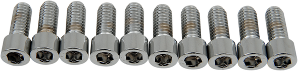 Drag Specialties DS-190544S Bolts - Socket-Head - Smooth - 5/16-18 x 3/4"