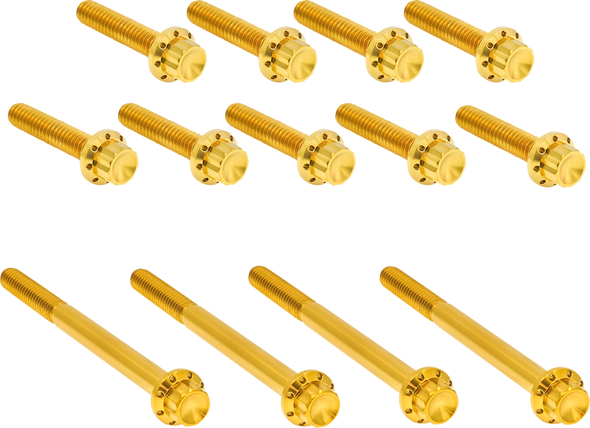 Arlen Ness 300-991 Bolt Kit - Titanium - 12-Point - Twin Cam - Gold