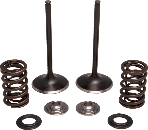 Moose Offroad N/A Valve and Spring Kit - Exhaust - for Honda