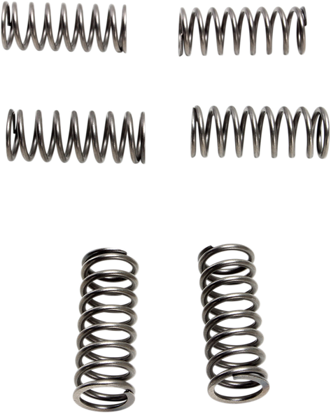 EBC CSK198 Clutch Springs - 6 pcs.