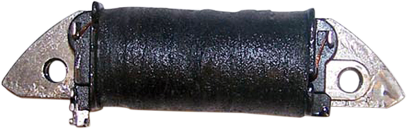 WSM 004-171 Charge Coil - Sea Doo