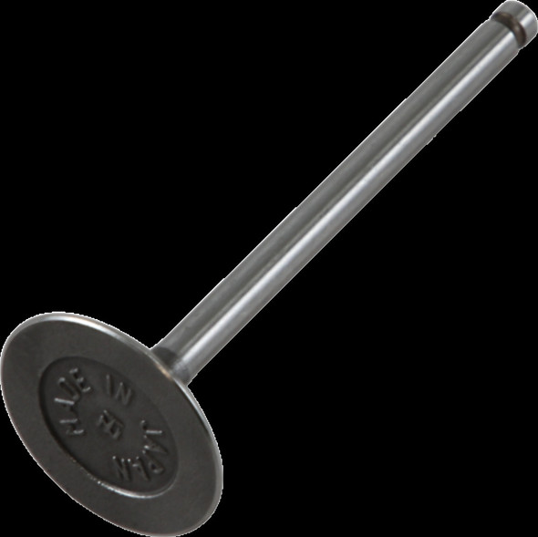 PROX 28.1323-2 STEEL INTVALVECRF230/150F