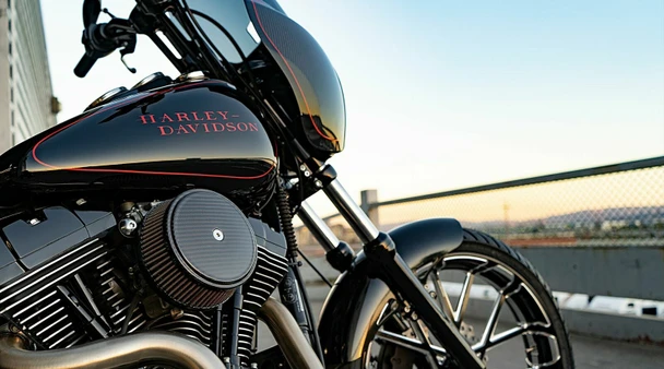 Arlen Ness Carbon Fiber Stage 1 Big Sucker Air Cleaner Kit 99-17 Harley Twin Cam
