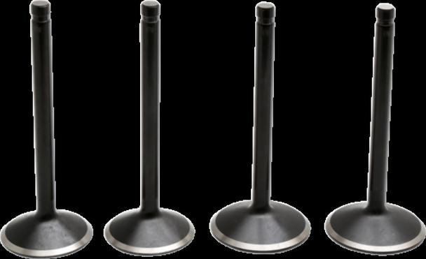 KIBBLEWHITE 20-23000 VALVE KIT 99-04 TC 88"