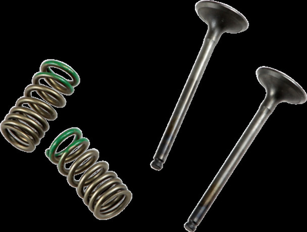 PROX 28.SES2402-1 EXHAUST VALVE/SPRING KIT