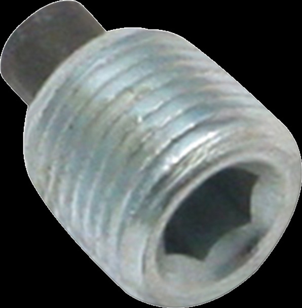 S&S CYCLE 50-8334 PLUG MAGNTC 1/8 NPT