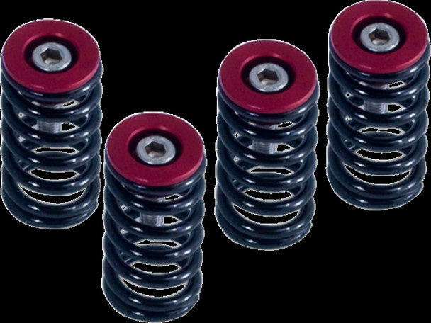 Barnett 519-25-06098 Clutch Spring W/ Red Ducati