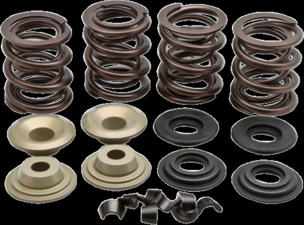 KIBBLEWHITE 20-21150 VALVE SPRING KIT.600"LIFT