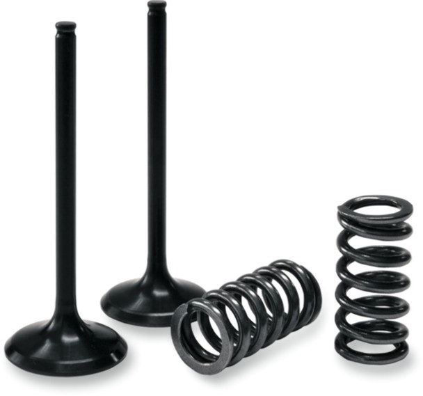 PROX 28.SIS4409-2 VALVE/SPRING KIT KAW