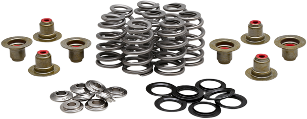 KIBBLEWHITE 20-21800 SPRING KIT BHIVE M8 .625"