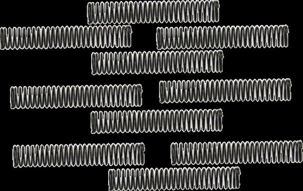 S&S CYCLE 31-6092 SPRING O.P. CK VLV 10PK