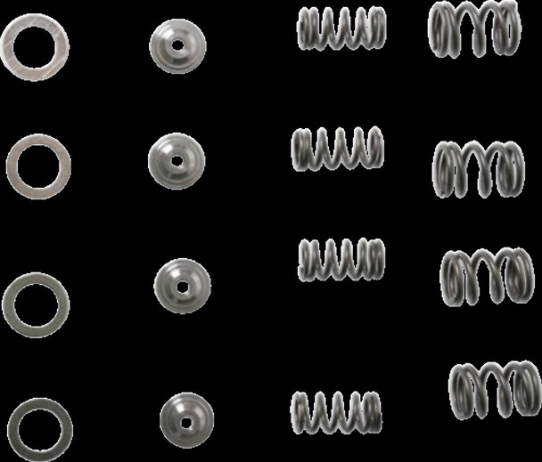 KIBBLEWHITE 30-3041 SPRING KIT TRX250X/300EX
