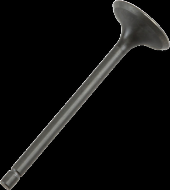 PROX 28.1381-2 STEEL INT VALVE XR200R