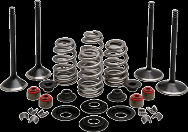 KIBBLEWHITE 20-23150 VALVE KT COMP 05-17 TC