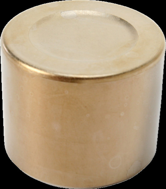 MOOSE UTILITY DIVISION 1702-0195 CALIPER PISTON BRAKE RR