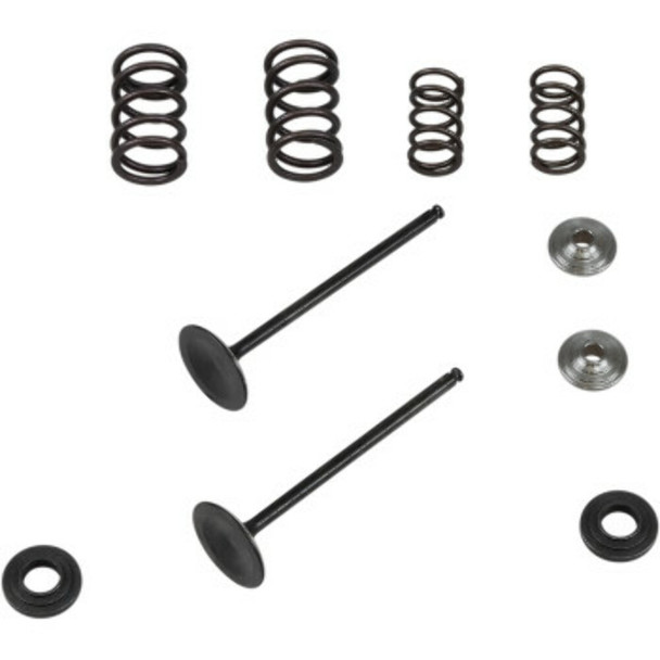 KIBBLEWHITE 96-96450 VALVE SPRING KIT FOR KTM