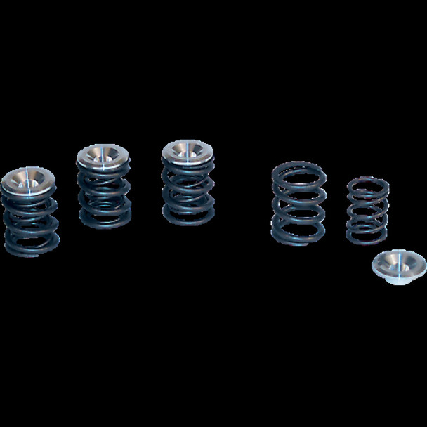 S&S CYCLE 90-2053 BT VLV SPR KIT 48-84