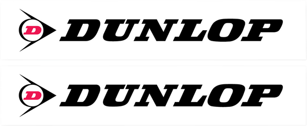 FACTORY EFFEX FX SWNG ARM STICKER DUNLOP