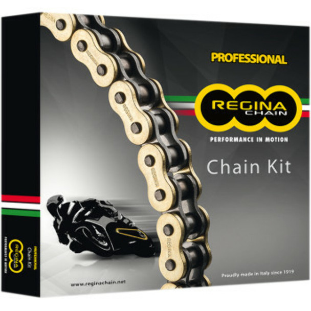 REGINA 5ZRE/112-KBM002 CHAIN KIT Fits BMW F650 GS