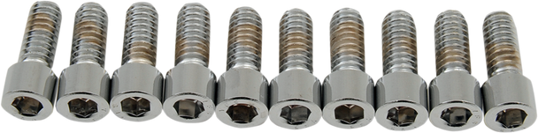 Drag Specialties Bolts - Socket-Head - Smooth - 1/4-20 X 5/8"