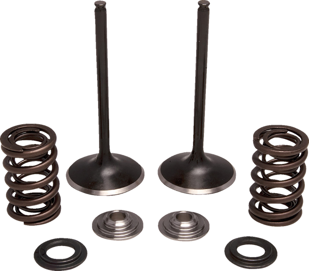 Moose Offroad N/A Valve and Spring Kit - Intake - for Honda