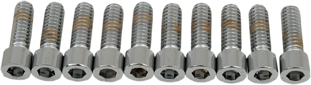 Drag Specialties Bolts - Socket-Head - Smooth - 1/4-20 X 3/4"