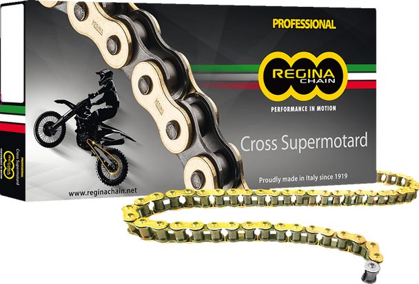 Regina 124RH2/008 420 RH2 Series - Chain - 110 Links