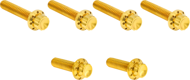 Arlen Ness 300-705 Bolt Kit - Titanium - 12-Point - M8/Twin Cam - Gold