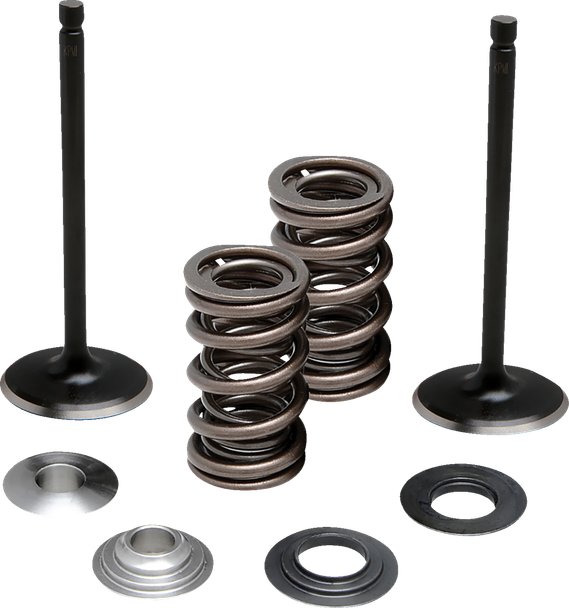 Moose Offroad N/A Valve and Spring Kit - Exhaust - for Yamaha
