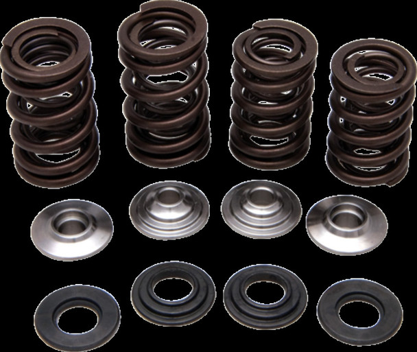 KIBBLEWHITE 30-30920 SPRING KIT 06-08 TRX450R