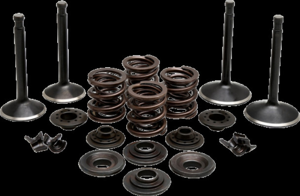 KIBBLEWHITE 20-22250 ENGINE KIT XL 57-69