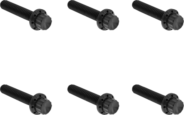 Arlen Ness 300-701 Bolt Kit - Titanium - 12-Point - M8 Gen 2 - Black