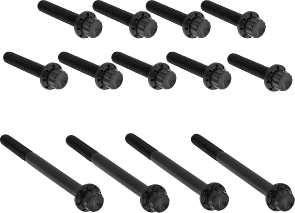 Arlen Ness 300-990 Bolt Kit - Titanium - 12-Point - Twin Cam - Black
