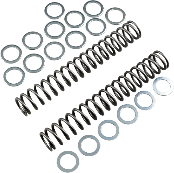 RACE TECH FRSP S3825085 SPRING FORK .85KG