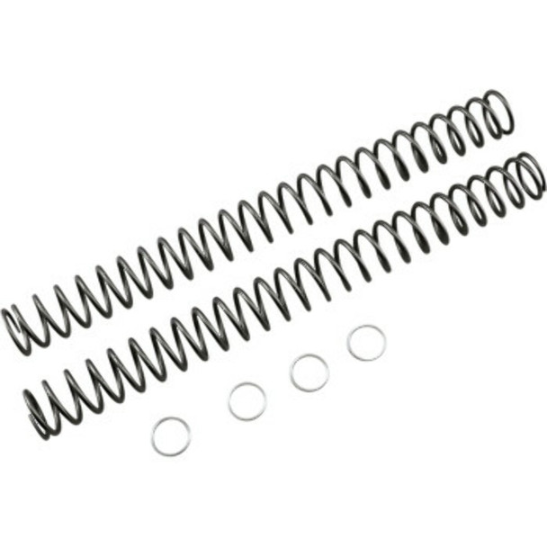 RACE TECH FRSP 444640 SPRINGS FORK HP .40KG