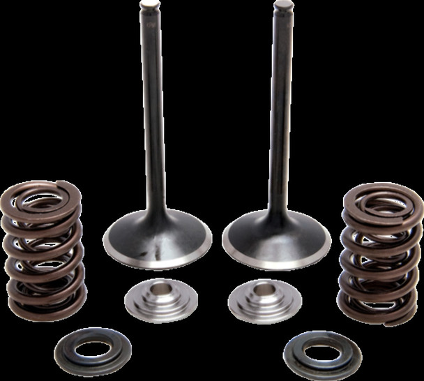 KIBBLEWHITE 30-31230 SPRING KIT SS CFR450X 05+