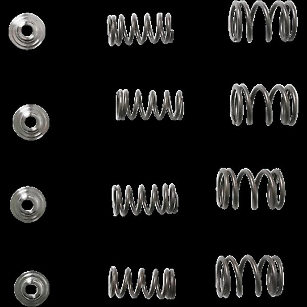 KIBBLEWHITE 30-3111 SPRING KIT TRX400EX