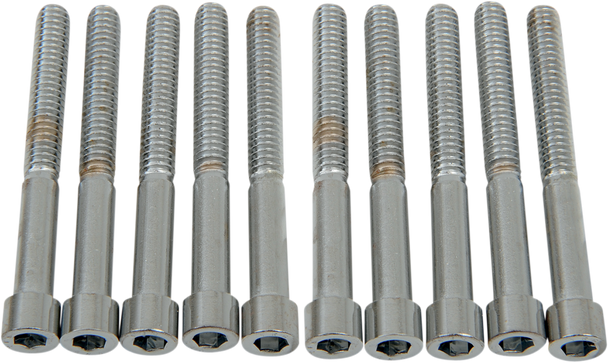 Drag Specialties DS-190542S Bolts - Socket-Head - Smooth - 1/4-20 x 2-1/4"