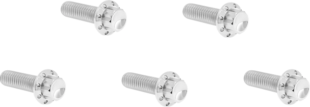 Arlen Ness 300-923 Bolt Kit - Derby Cover - 12-Point - Titanium - Polished