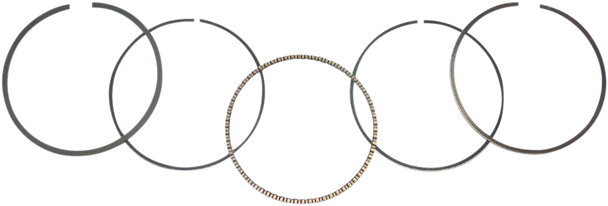 WSM 51-252-04 RING SET .25MM KAW 250