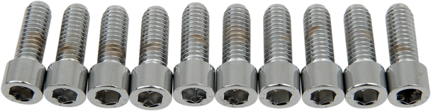 Drag Specialties DS-190545S Bolts - Socket-Head - Smooth - 5/16-18 x 7/8"
