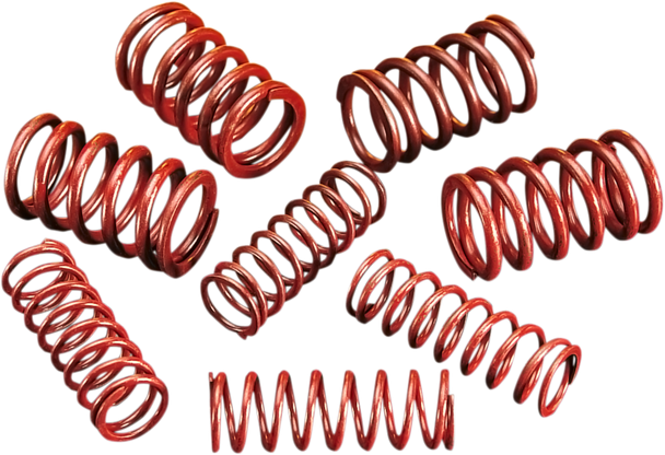 ANDREWS 294150 HIGH LIFT SPRINGS EVO BT-XL