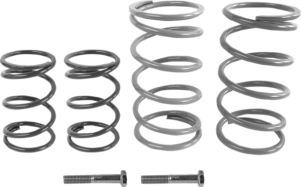 EPI WE437770 Economy Clutch Kit - for Kawasaki