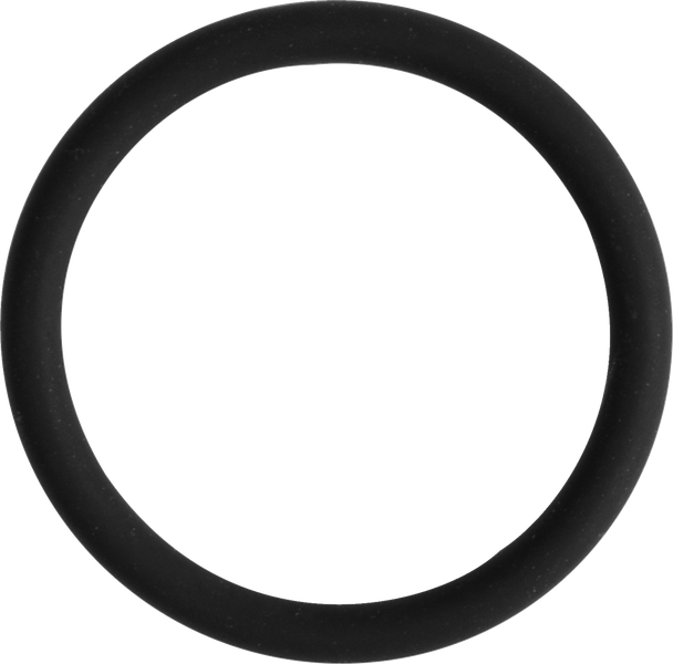 WSM 008-599-27 Cam Sensor O-Ring - for Sea Doo/for Can-Am
