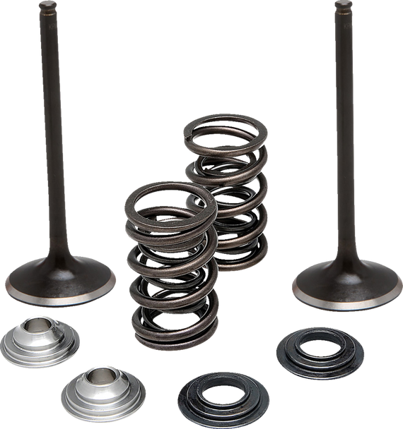 Moose Offroad N/A Valve and Spring Kit - Intake - for Suzuki