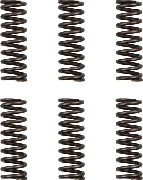 Moose Racing HDS-156-6 Clutch Springs - WR/YZ 450F